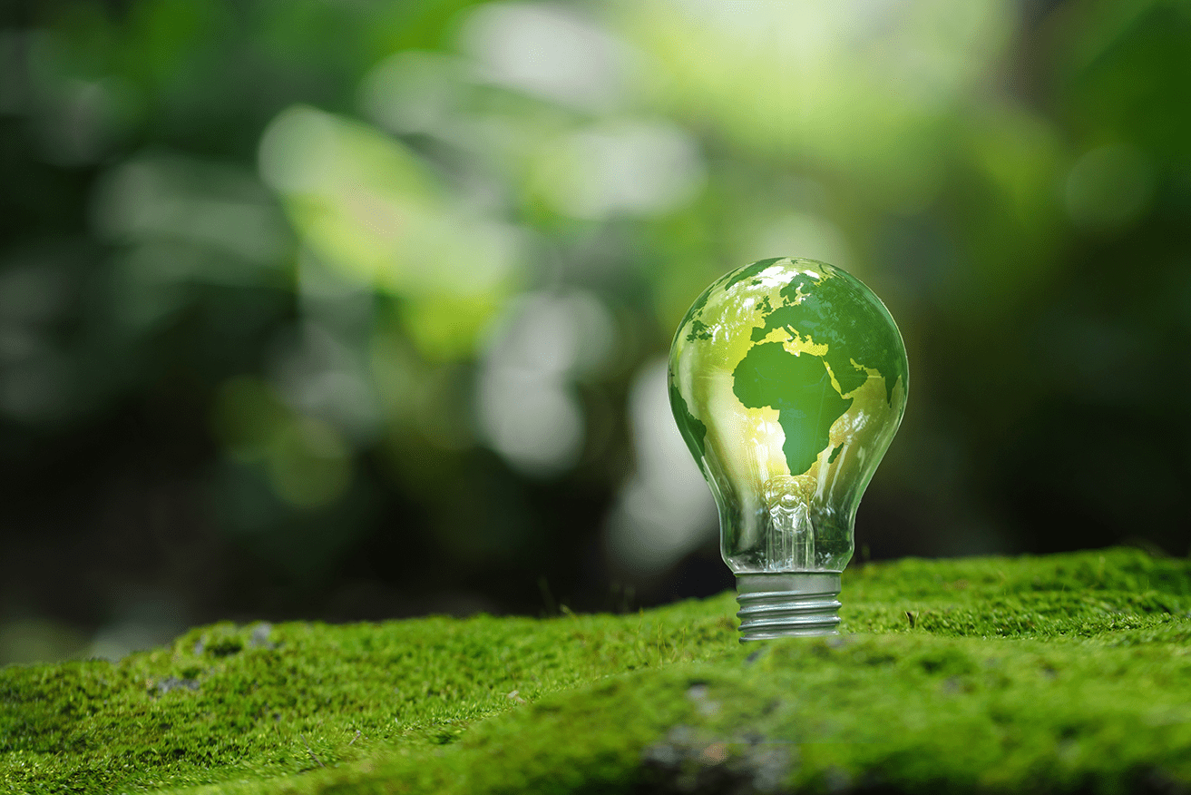 Graphic image showing lightbulb with super-imposed bulb standing on a green moss bank
