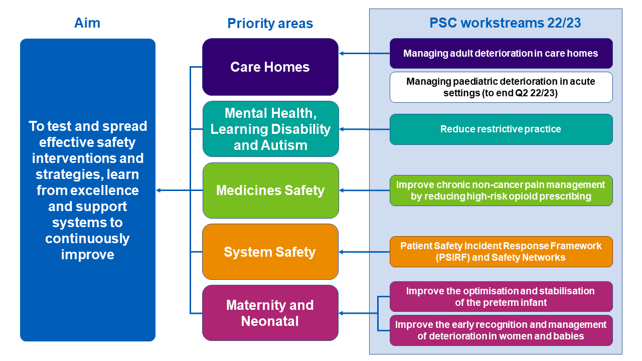 Diagram shows the five safety improvement programmes in NatPatSIP