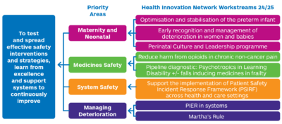 A diagram of the priority areas from the patient safety work for 2024 - 2025